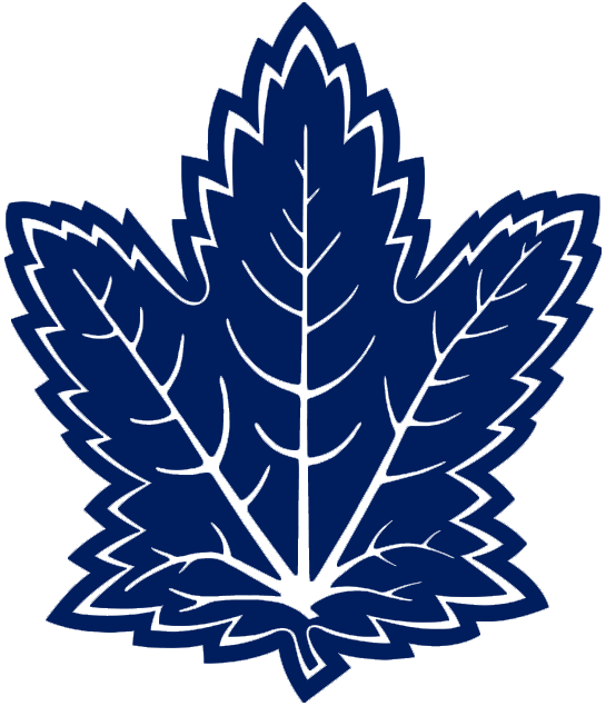 Toronto Maple Leafs 2010-2016 Alternate Logo t shirts DIY iron ons